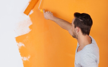 Gallery: Aliquam erat