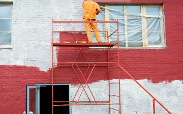 Gallery: Fusce posuere